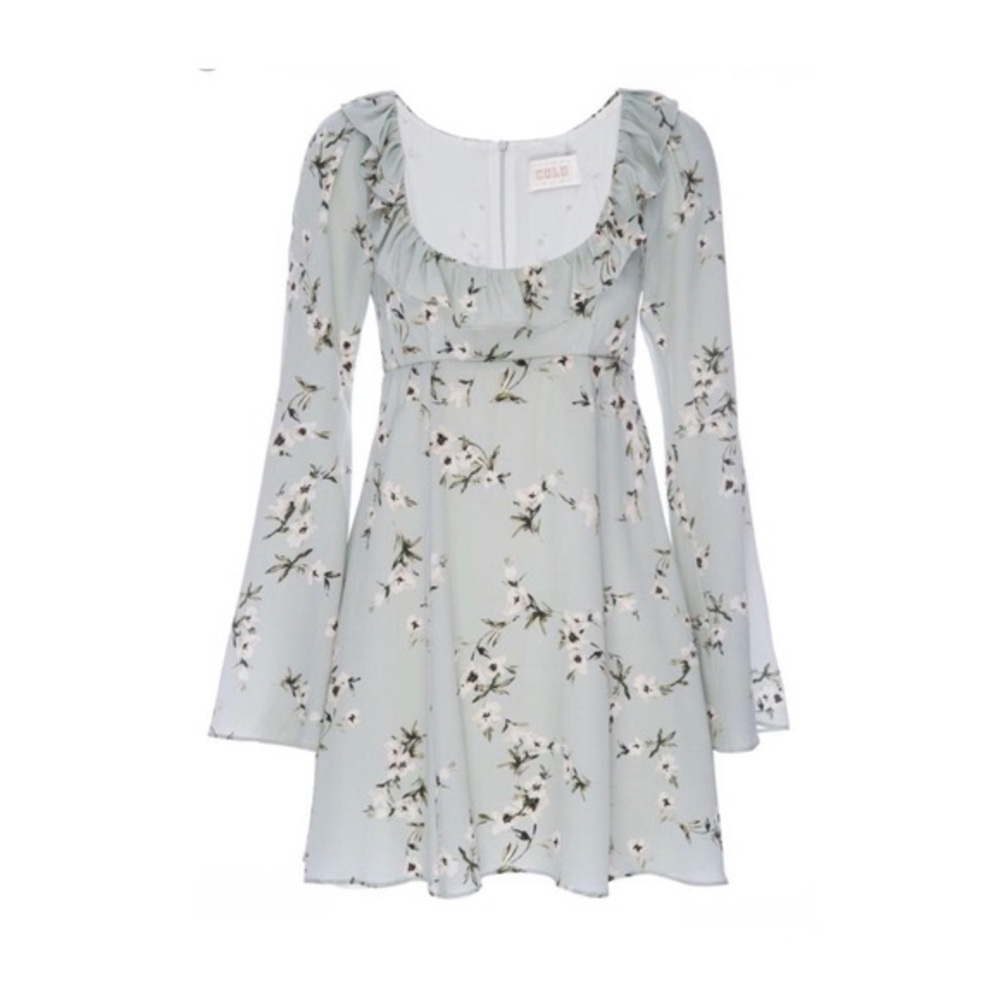 Stone Cold Fox Sierra Dress Size 1 Silk Tuberose Floral Green Mini Empire Waist